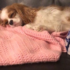 Meet your Posher, Kristen